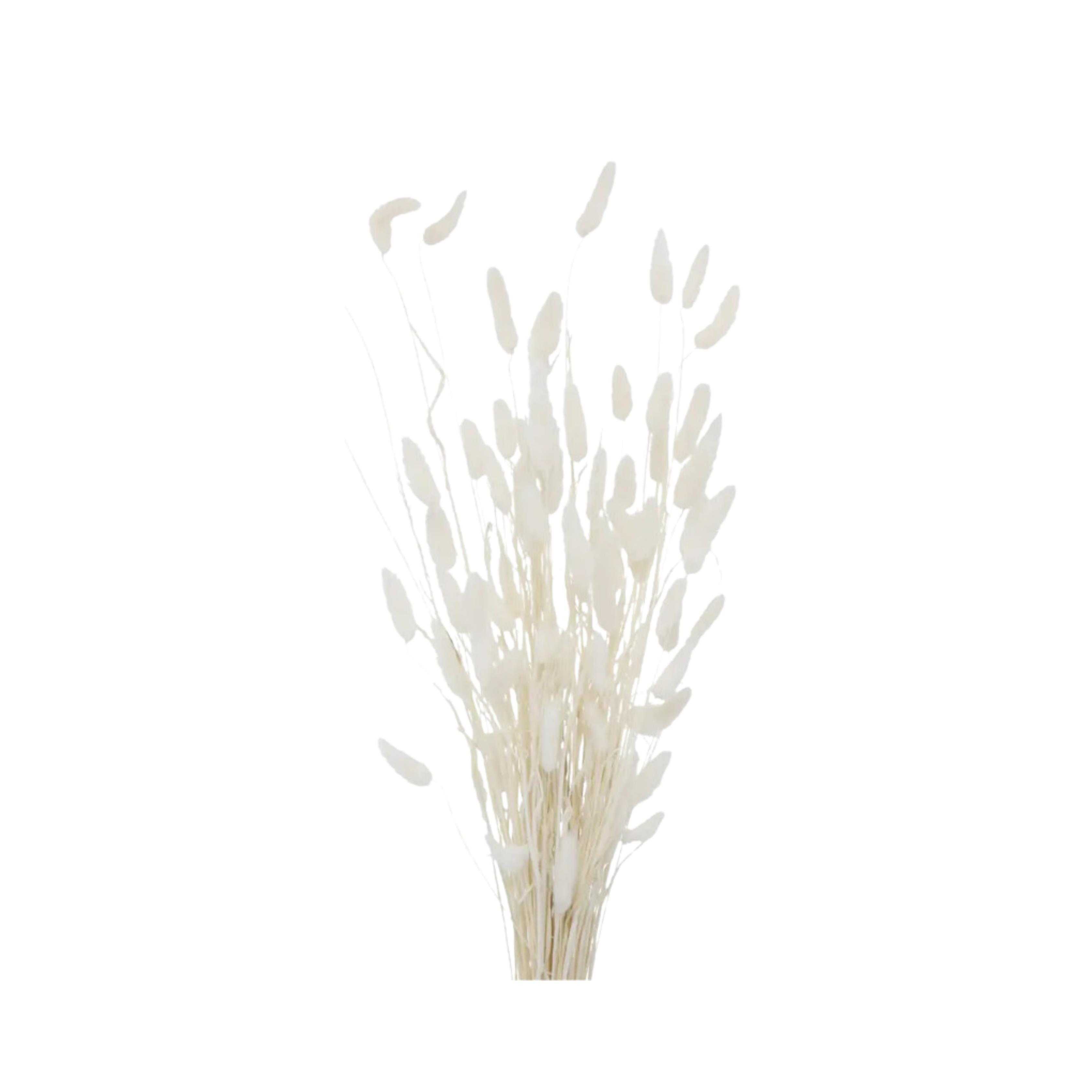 000674001801_Detailbild01-1724854571836force=true