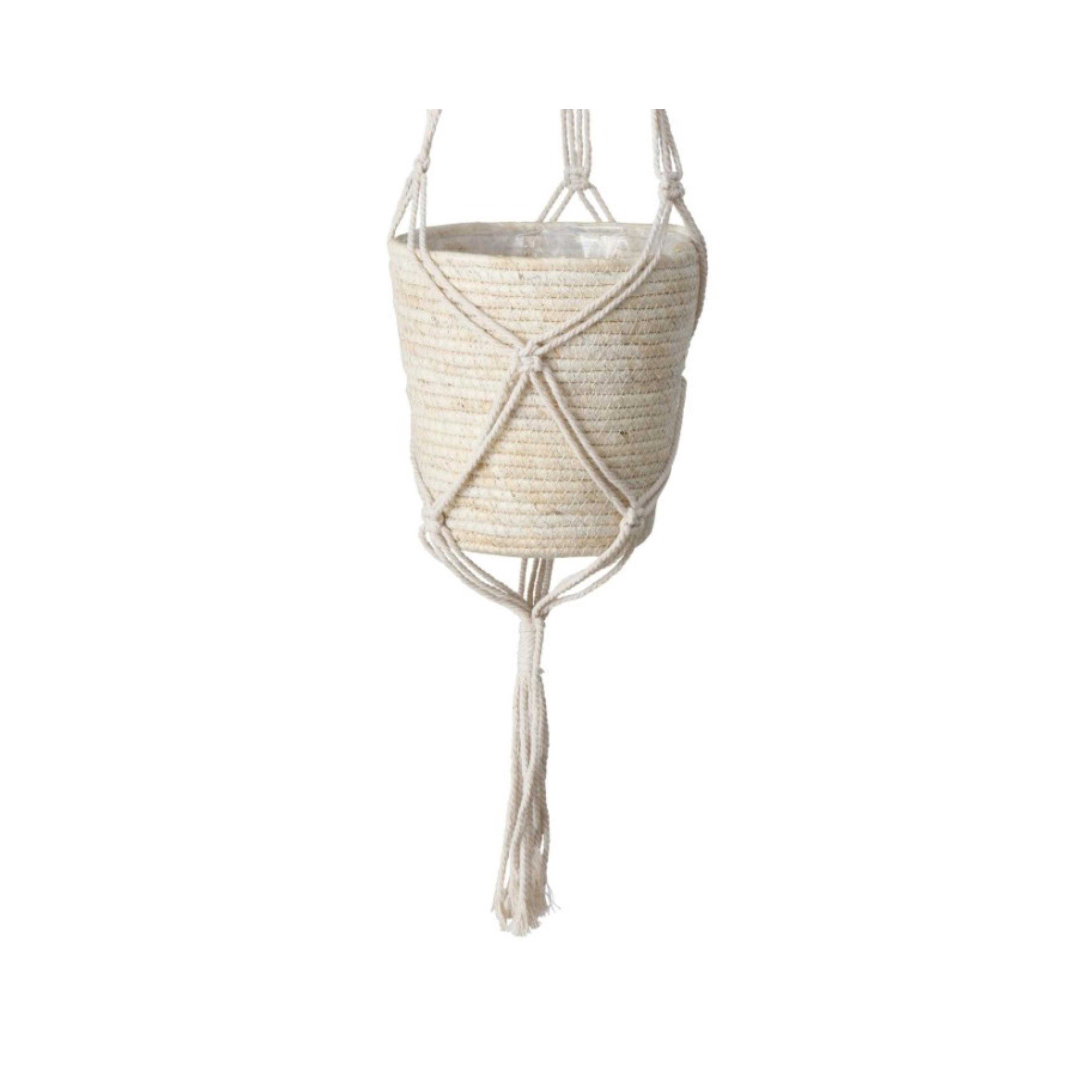 0006740005_HauptbildFreigestellt-1725014222461