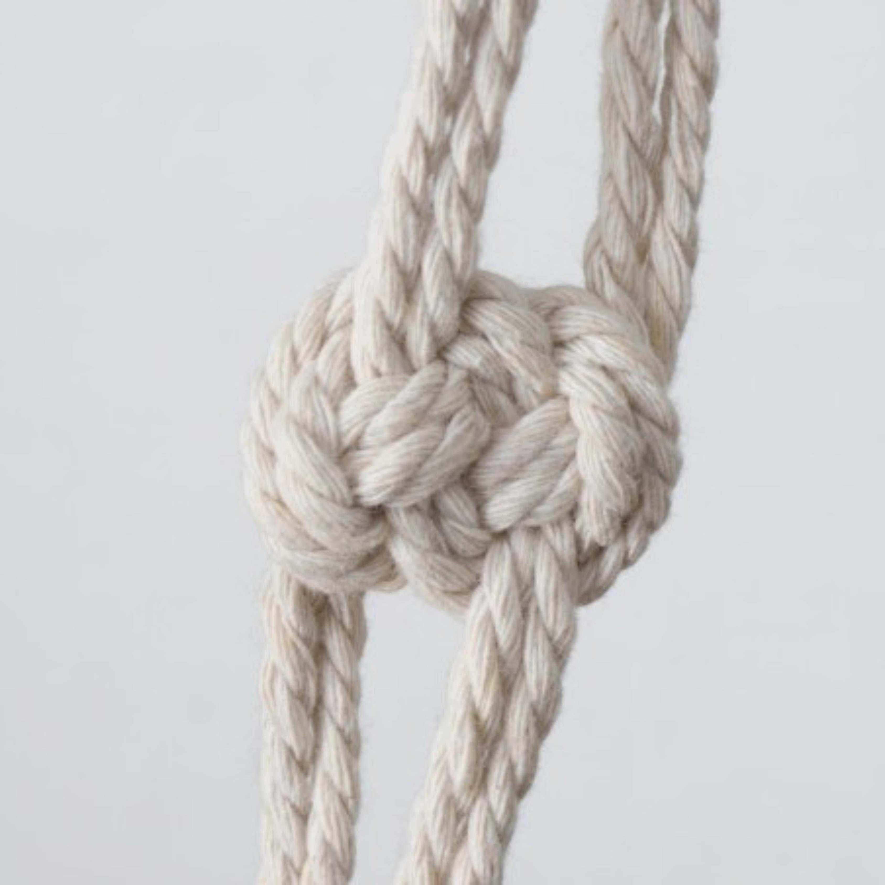 0006740005_Detailbild02-1725014221992